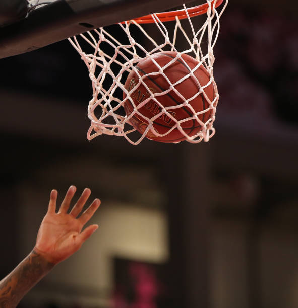 几乎可以应 几乎可以应